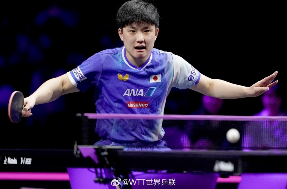 张莫须有的, 客观来讲 张莫须有的, 客观来讲