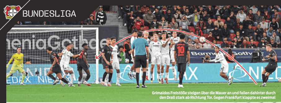 述为, 各布 述为, 各布